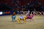 Quadrille - 00554